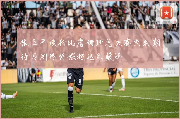 张卫平谈科比詹姆斯总决赛失利期待马刺终将崛起达到巅峰